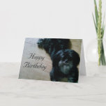 CARTÃO LHASA APSO WISHES FOR A HAPPY BIRTHDAY<br><div class="desc">This cute pup is filled with HAPPY BIRTHDAY wishes for the very special person in your life celebrating their day.</div>