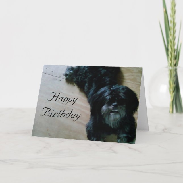 CARTÃO LHASA APSO WISHES FOR A HAPPY BIRTHDAY (Frente)