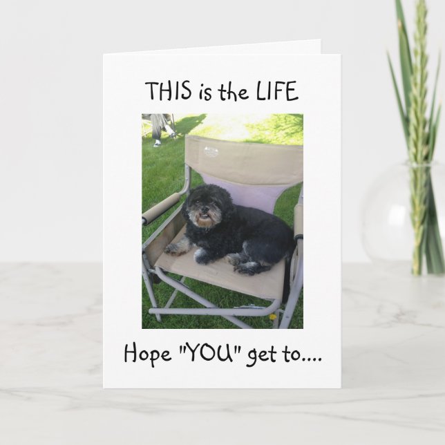 CARTÃO LHASA QUER QUE VOCÊ GOSTE DO SEU "40º!" (Frente)