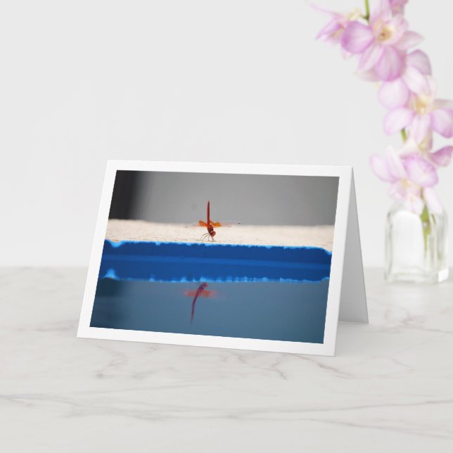 Cartão Libélula de Asa Laranja (Orquídea)