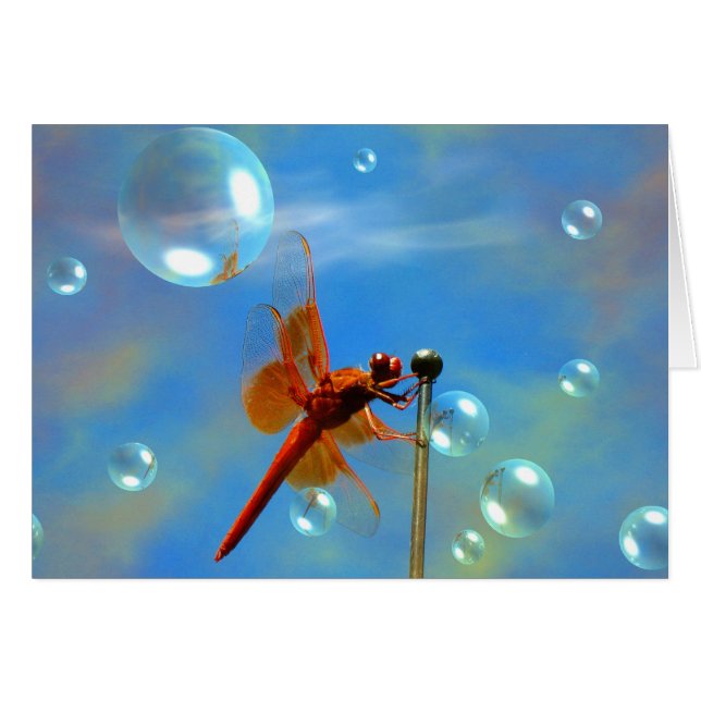 Cartão Libélula vermelha transparente (Frente Horizontal)