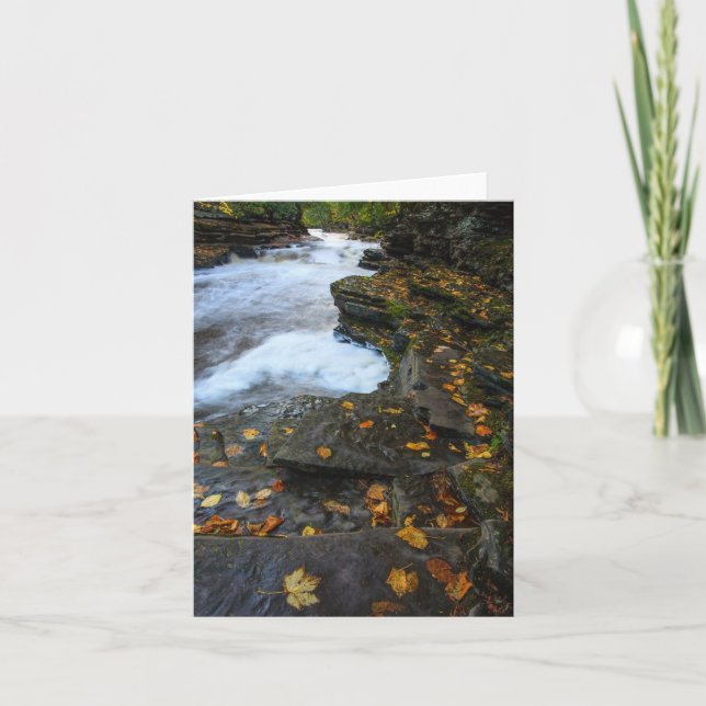 Cartão Liberado (Frente)