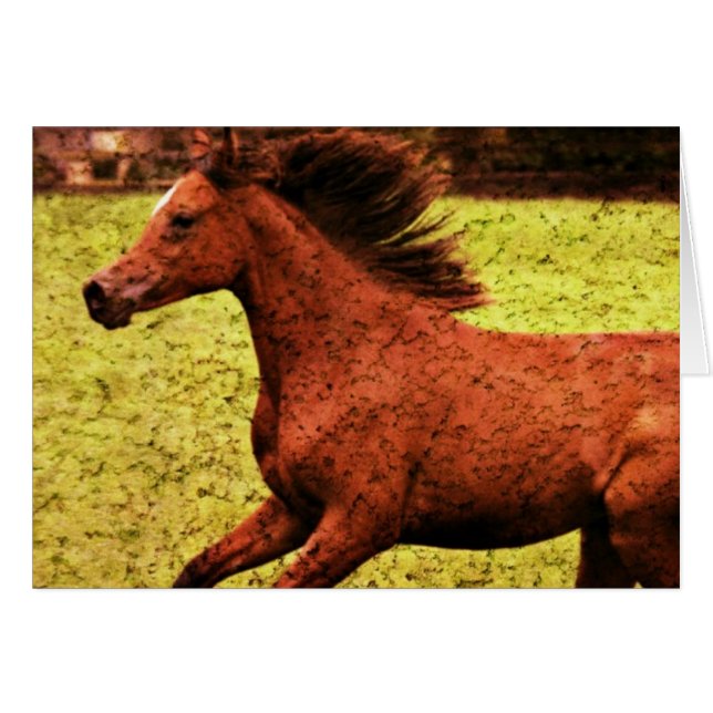 Cartão Liberdade (Frente Horizontal)