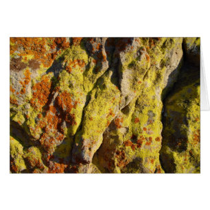 Cartão Lichen on Rock