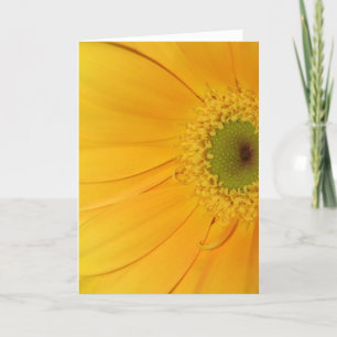 Cartão Life is beautiful!