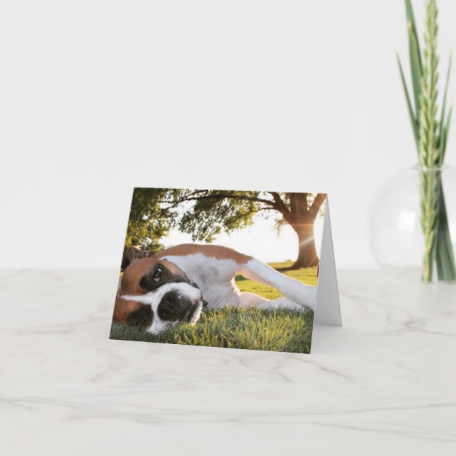 Cartão Life Kicking Your Tail Too? Boxer Note Card (Frente)