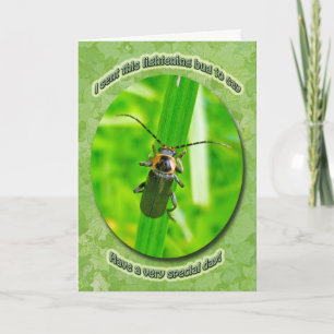Cartão Lightening Bug Birthday Card