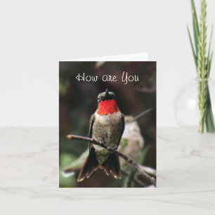 Cartão Lil Hummingbird Male greeting or notecard-customiz