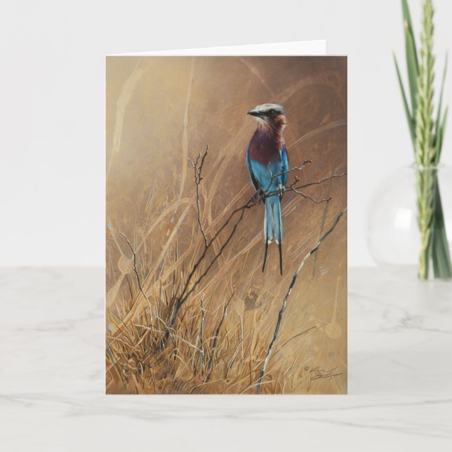 Cartão Lilac-Breasted Roller Blank Greeting Card, Denman (Frente)