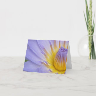 Cartão Lilac Waterlily Notecard