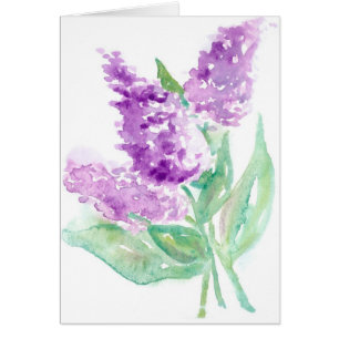 Cartão Lilacs