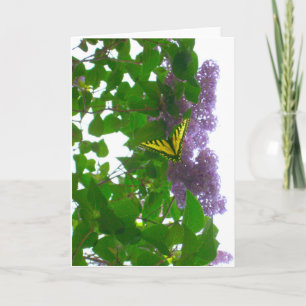 Cartão Lilacs and Swallowtail Yellow Butterfly card