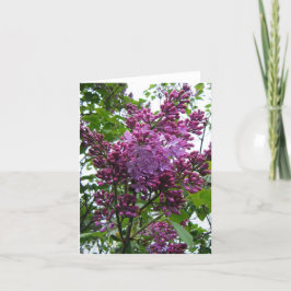 Cartão "Lilacs chez moi"