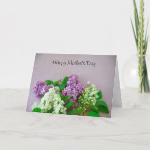 Cartão Lilacs on a pale pink background