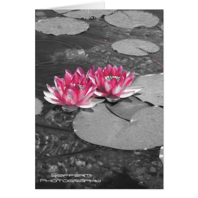 Cartão lilas de água (Frente)