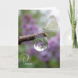 Cartão Lilases de Simpatia Refletindo numa Gota de Chuva
