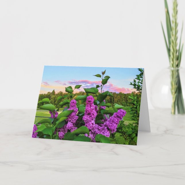 Cartão Lilases roxos "Tenham um excelente dia" (Frente)