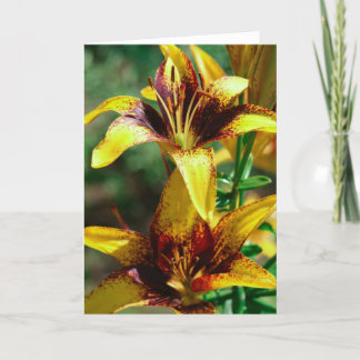 Cartão lilies of the fields