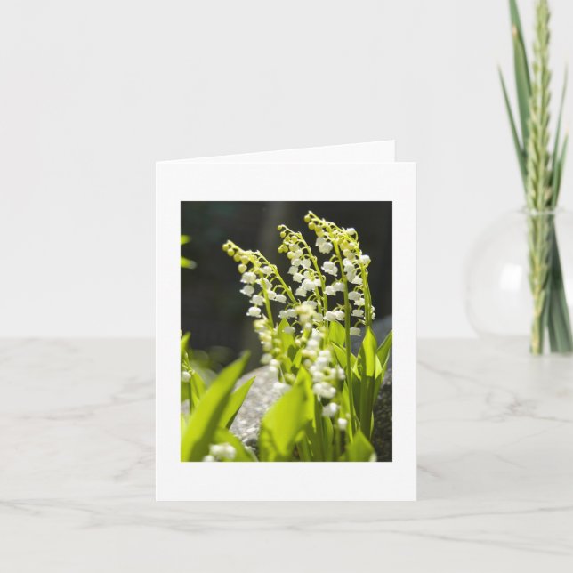 Cartão Lilies of the Valley from my garden.... (Frente)