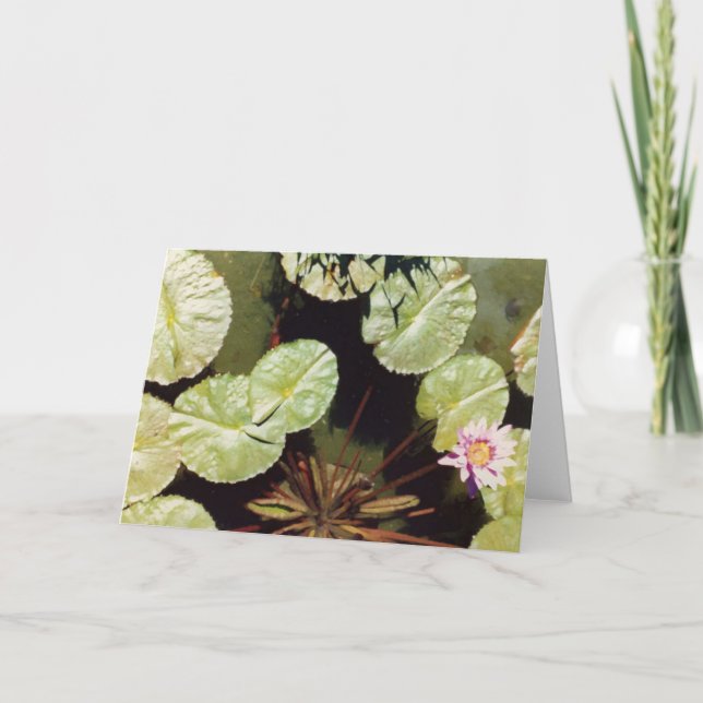 Cartão Lillies Água 02 (Frente)