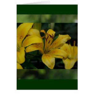 Cartão Lillies em Green