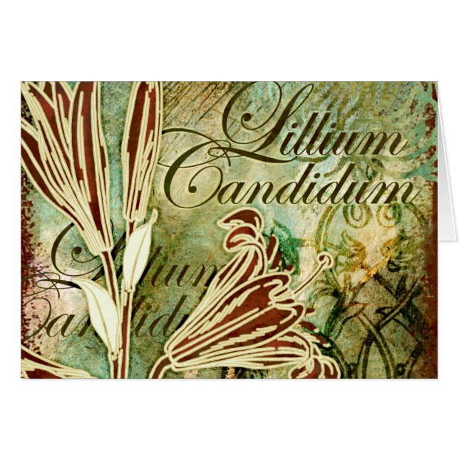 Cartão Lillium Candidum (Frente Horizontal)