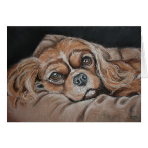 Cartão Lilly bonito