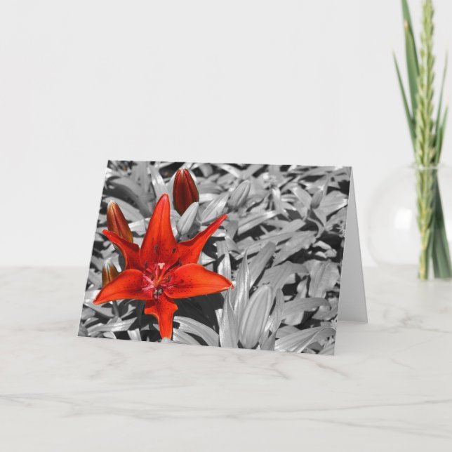 Cartão Lily (Frente)