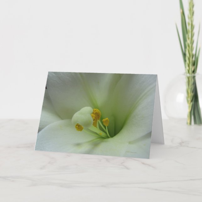 Cartão Lily 1 Card (Frente)