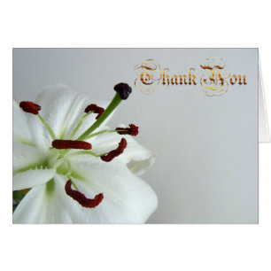 Cartão Lily Branca.