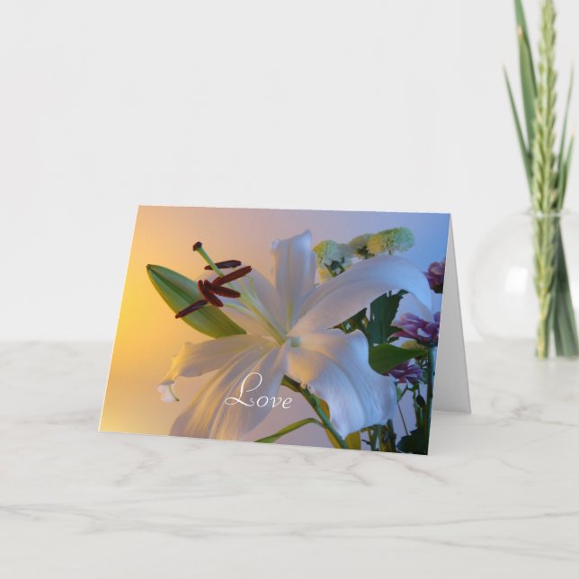 Cartão Lily branca, flor. (Frente)