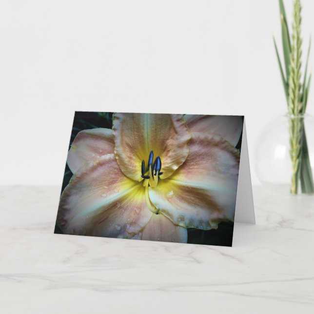 Cartão Lily, carta (Frente)