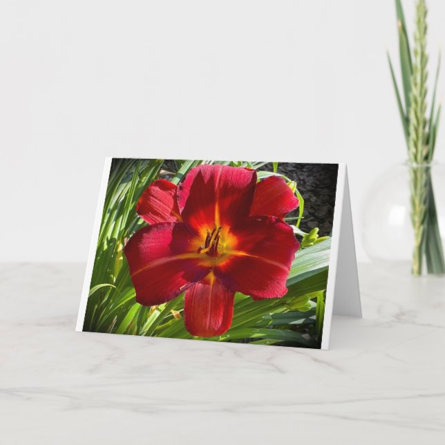 Cartão Lily, carta (Frente)