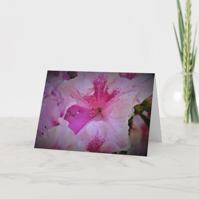 Cartão Lily, carta (Frente)