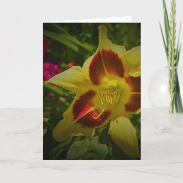 Cartão Lily, carta (Frente)