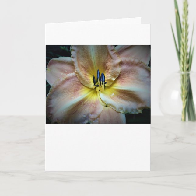 Cartão Lily, carta (Frente)