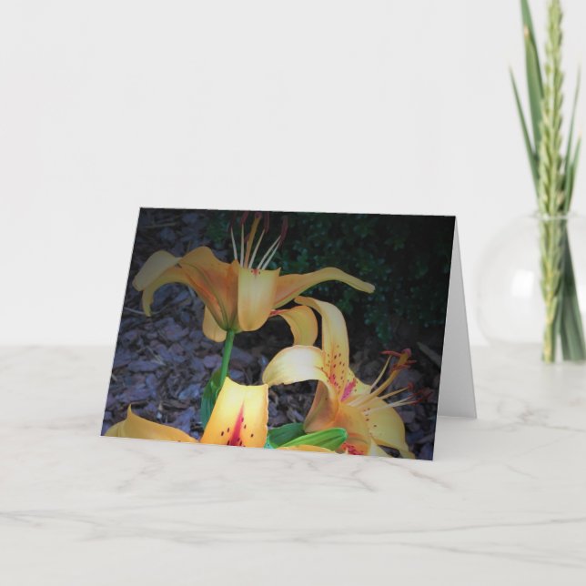 Cartão Lily, carta (Frente)