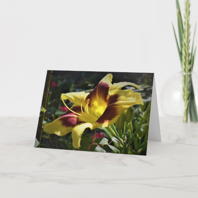 Cartão Lily, carta (Frente)