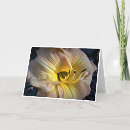 Cartão Lily, carta