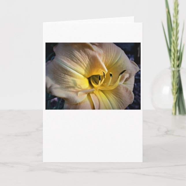 Cartão Lily, carta (Frente)