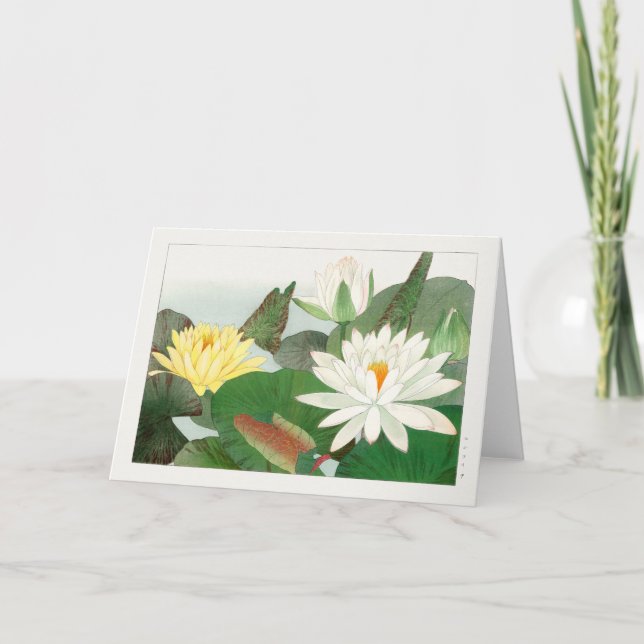 Cartão Lily de água de Tanigami Konan (Frente)