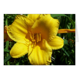 Cartão Lily de Jardim Amarelo