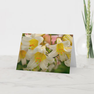 Cartão Lily Greeting Card