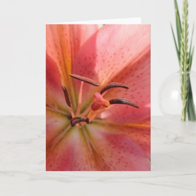 Cartão Lily Macro (Frente)