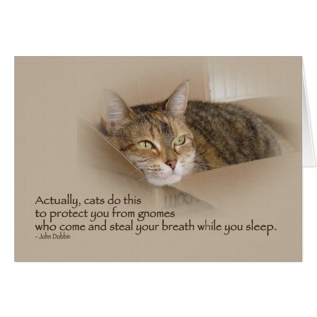 Cartão Lily nº 1 (Frente Horizontal)