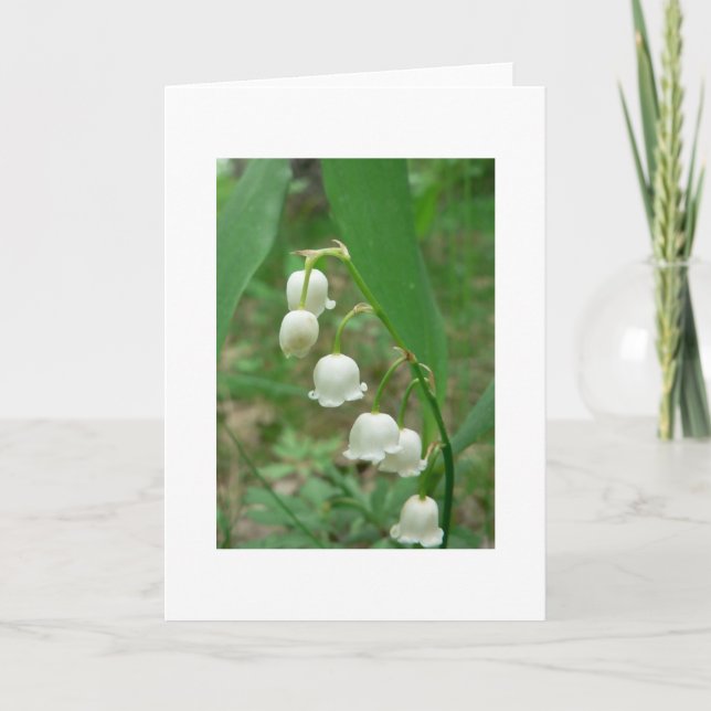 Cartão Lily of the valley Blank Greeting (Frente)