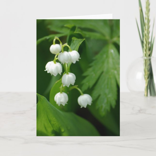 Cartão Lily of the Valley Card (Frente)