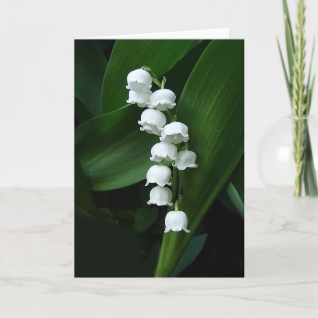 Cartão Lily of the Valley greeting card (Frente)