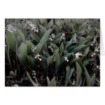 Lily of the Valley Mindscape 1