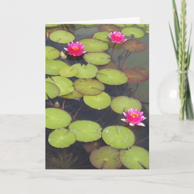 Cartão Lily Pads e Lotus Zen Birthday Card (Frente)